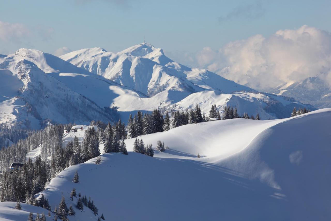 House Of Huetter - Wachtelhof & Spa Maria Alm am Steinernen Meer Exteriör bild